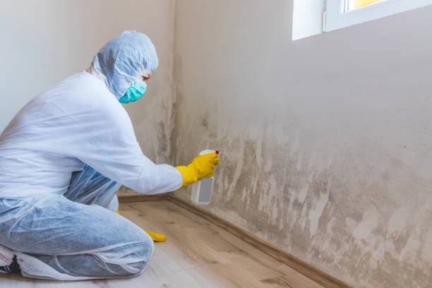 Certified Mold Removal in Mebane, NC