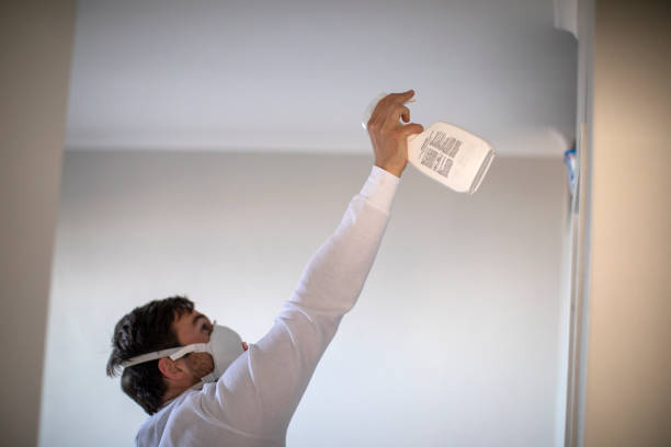 Best Residential Mold Removal  in Mebane, NC