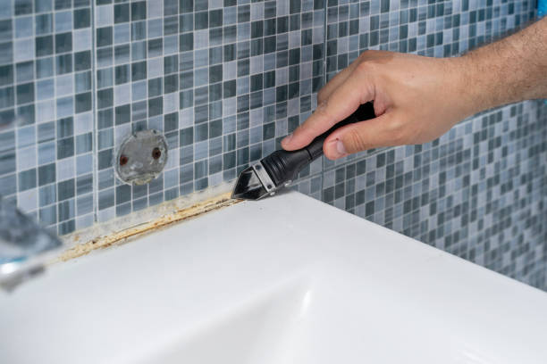 Mold Testing and Removal in Mebane, NC